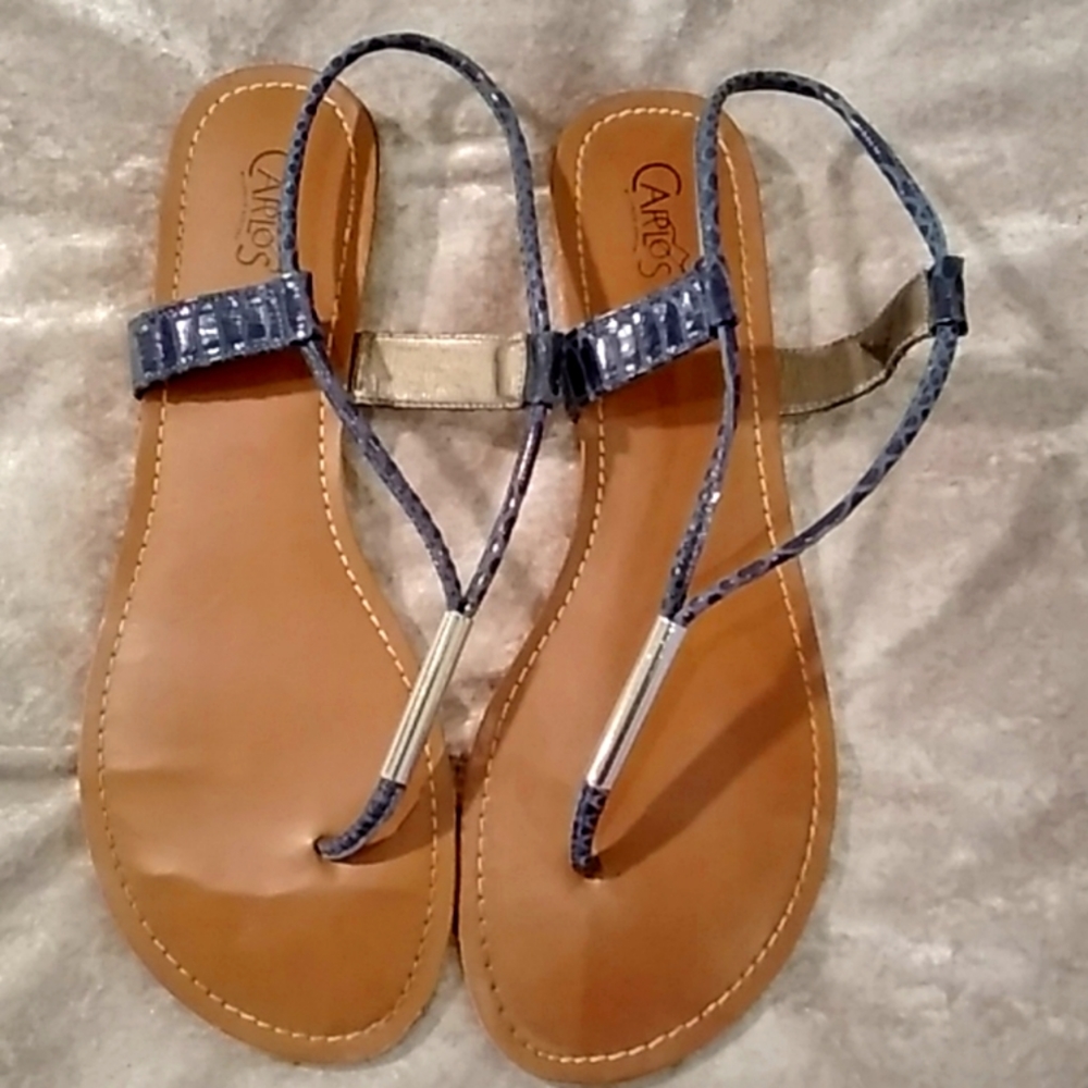 Carlos Santana Sandals